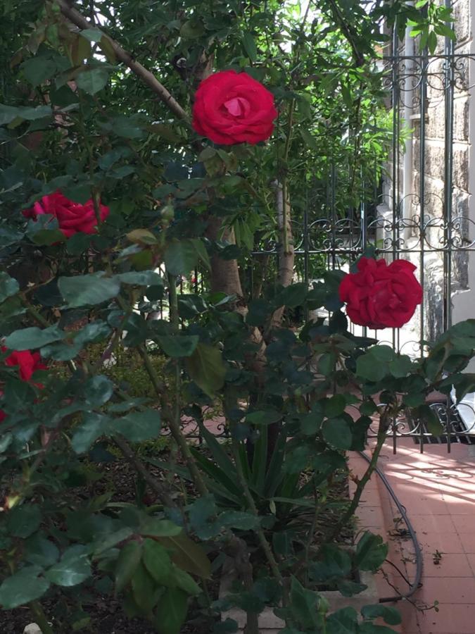 Villa Serra B&B Iun E6769 오리스타노 외부 사진